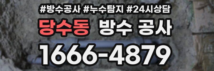 당수동 방수 공사