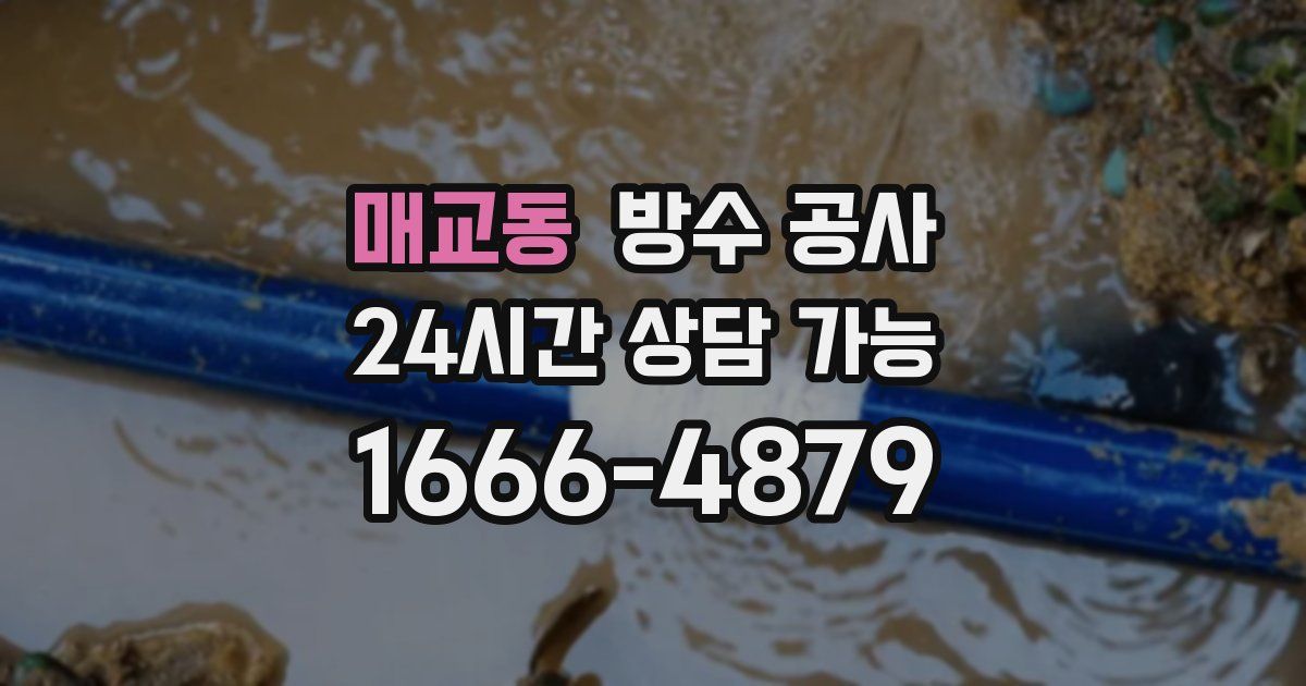 매교동 누수탐지