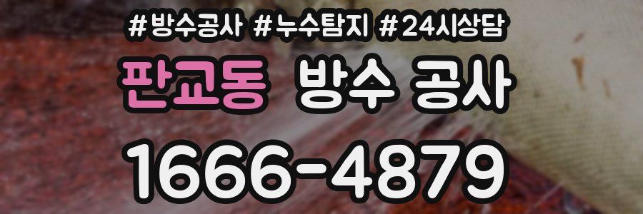 판교동 방수 공사