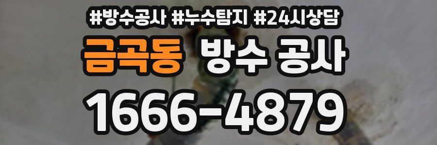 금곡동 방수 공사