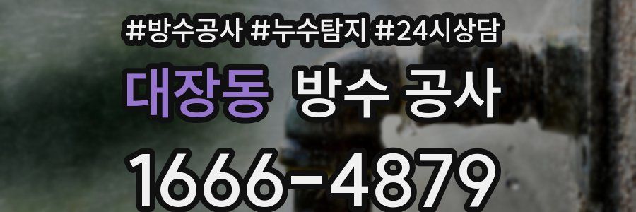 대장동 방수 공사