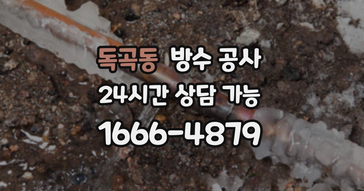 독곡동 누수탐지