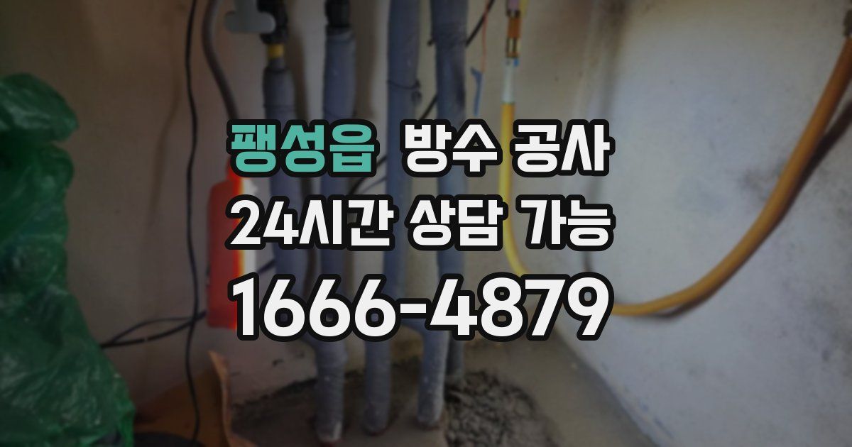 팽성읍 누수탐지