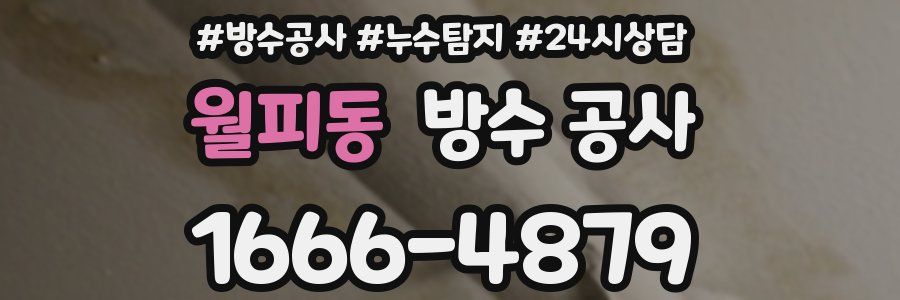 월피동 방수 공사