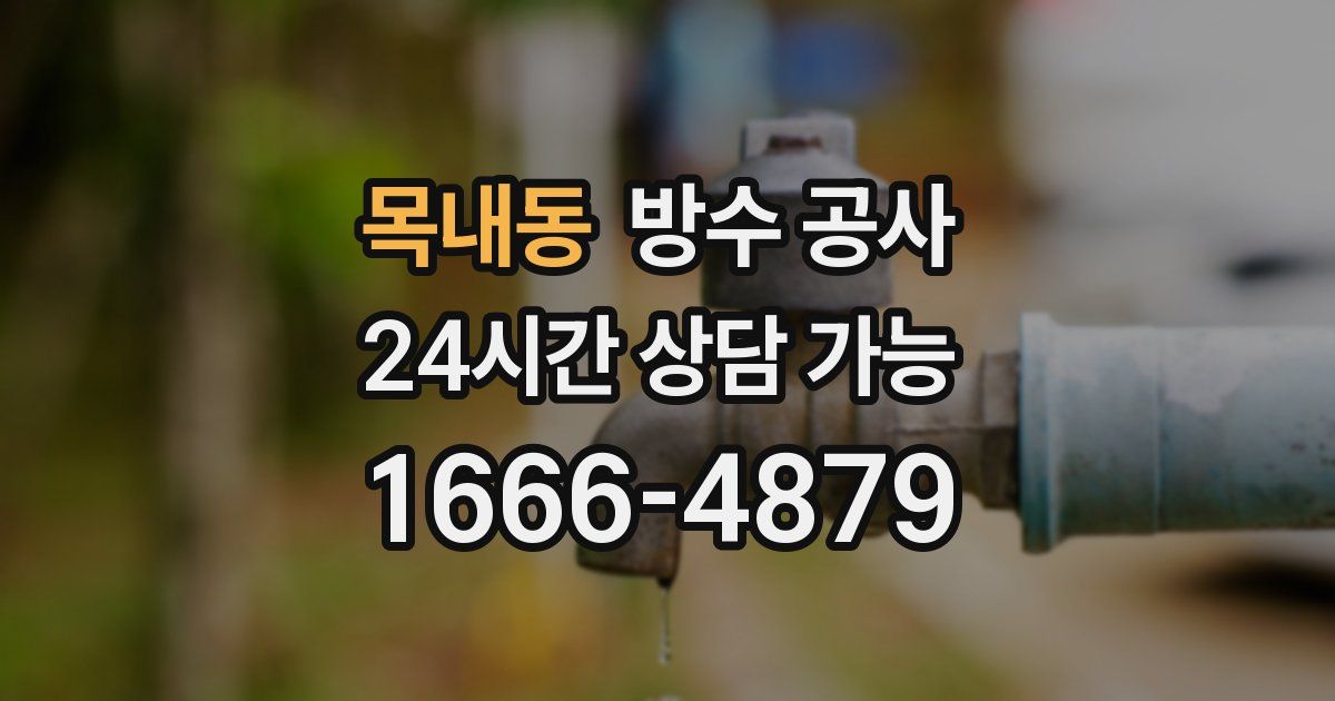 목내동 누수탐지