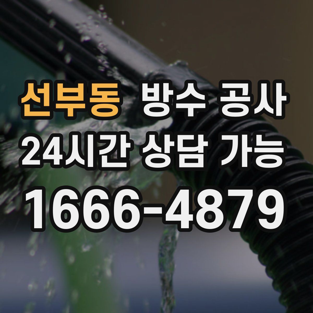 선부동 방수