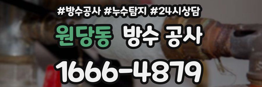 원당동 방수 공사