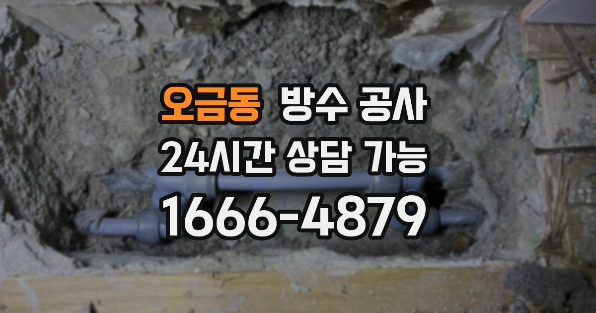 오금동 누수탐지