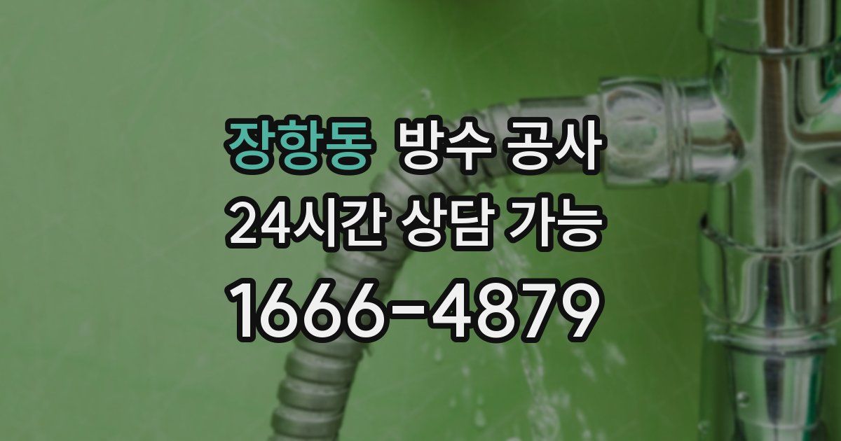 장항동 누수탐지