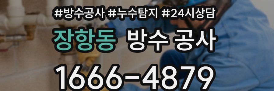 장항동 방수 공사