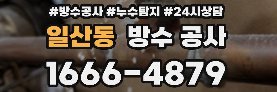 일산동 방수 공사