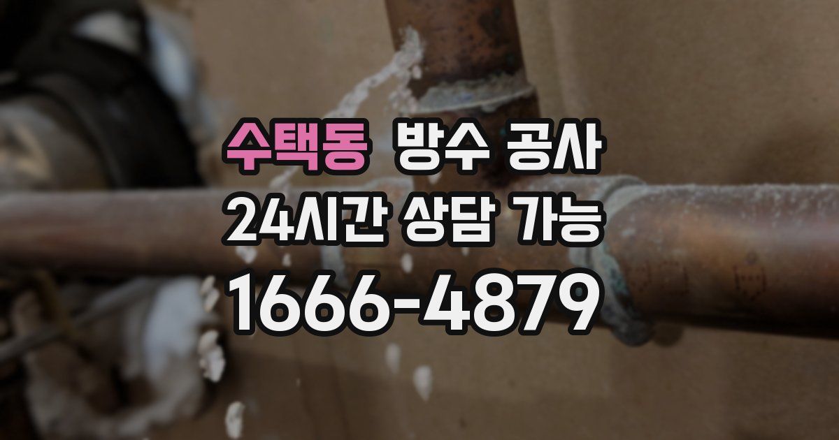 수택동 누수탐지