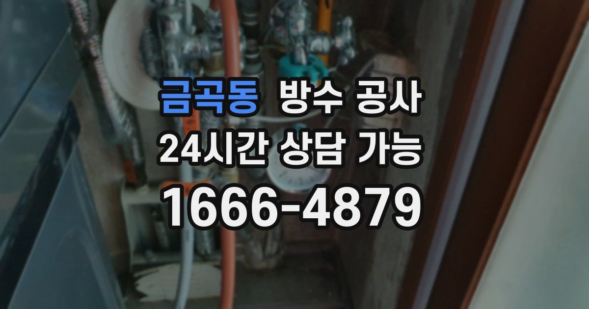 금곡동 누수탐지