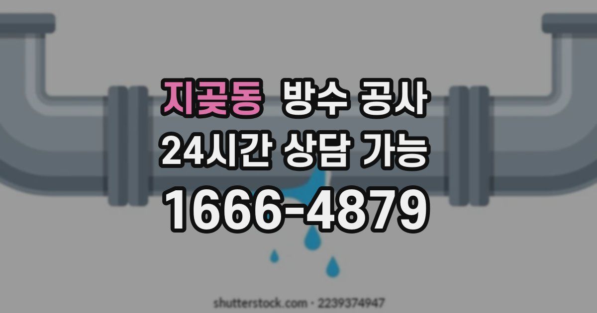 지곶동 누수탐지