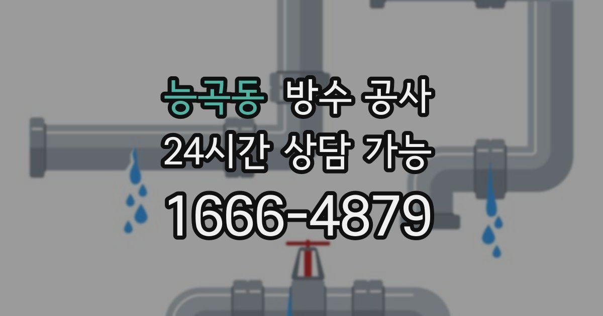 능곡동 누수탐지