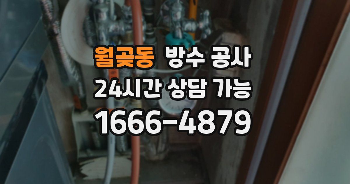 월곶동 누수탐지