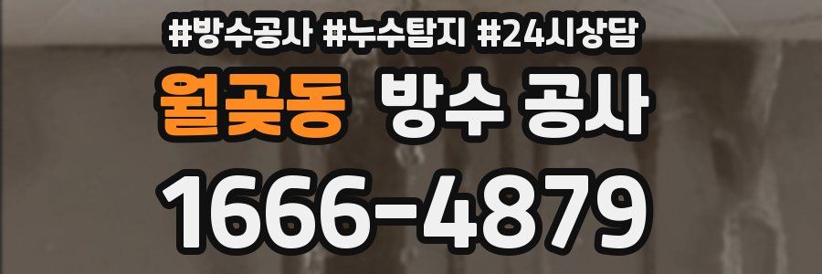 월곶동 방수 공사