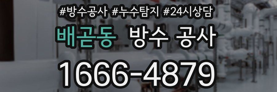 배곧동 방수 공사