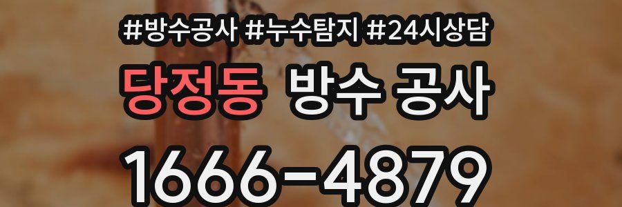 당정동 방수 공사