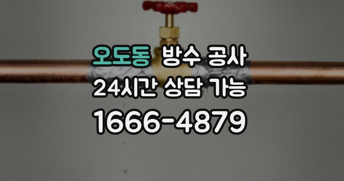 오도동 누수탐지