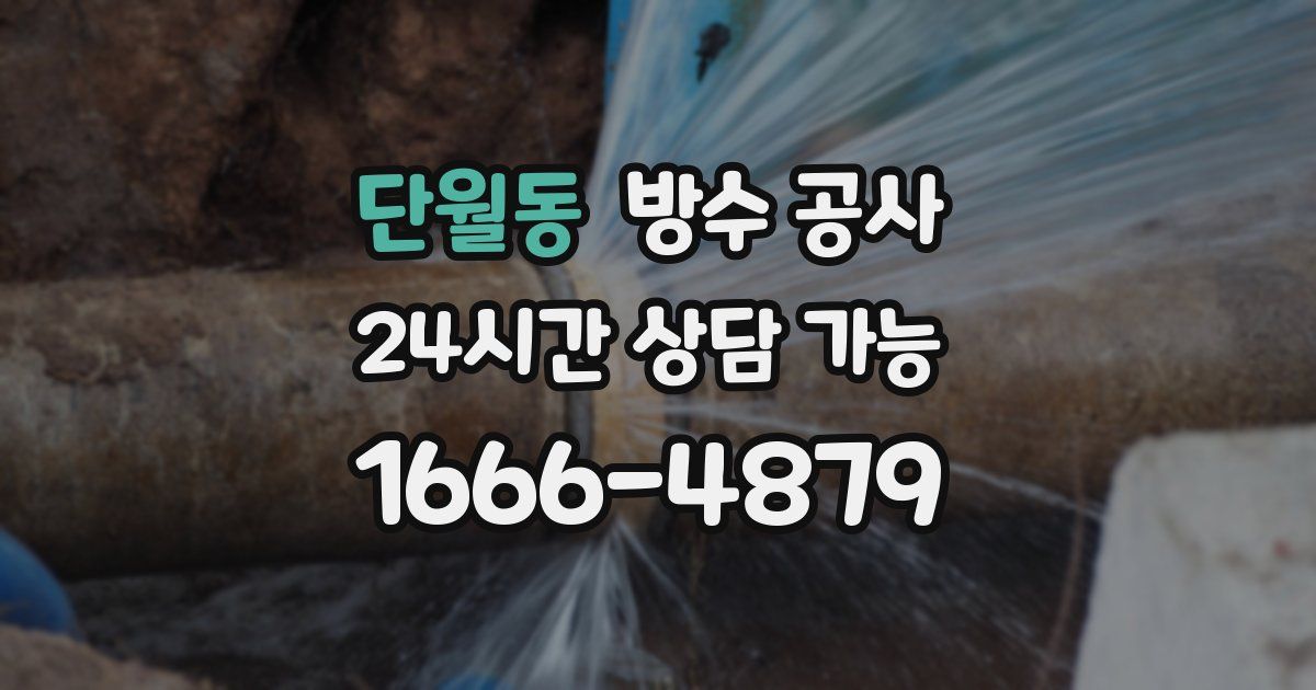 단월동 누수탐지