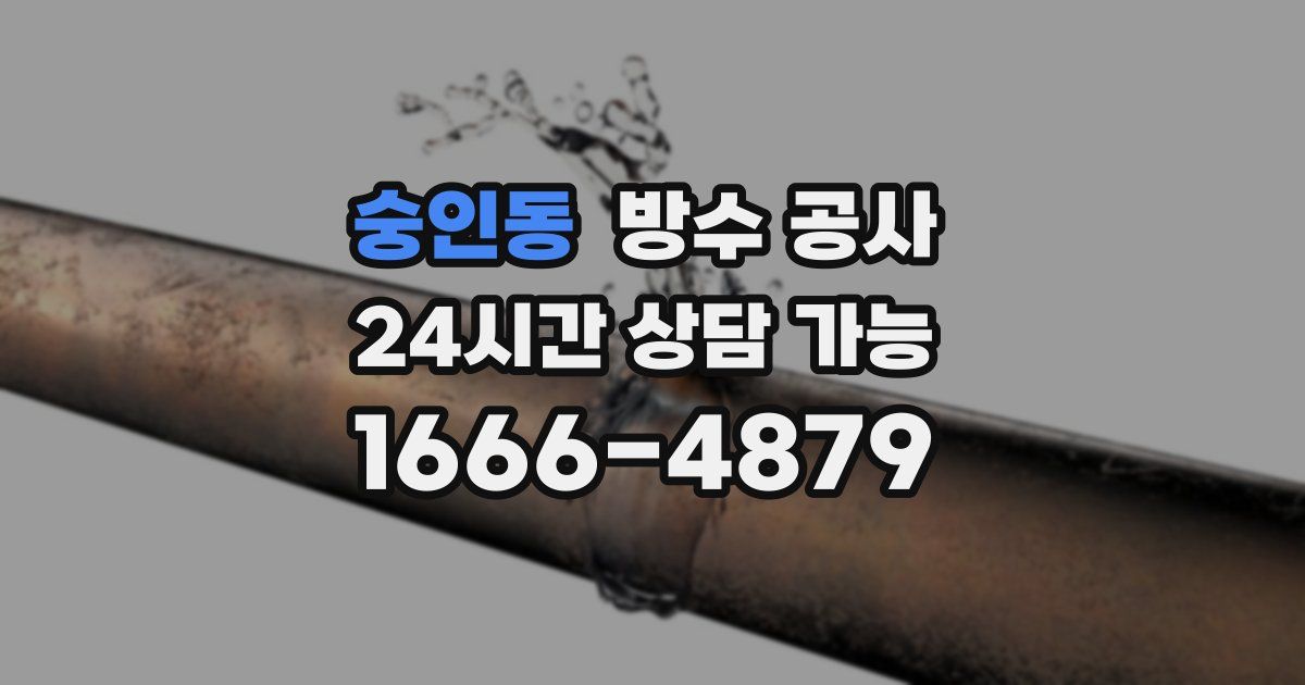숭인동 누수탐지