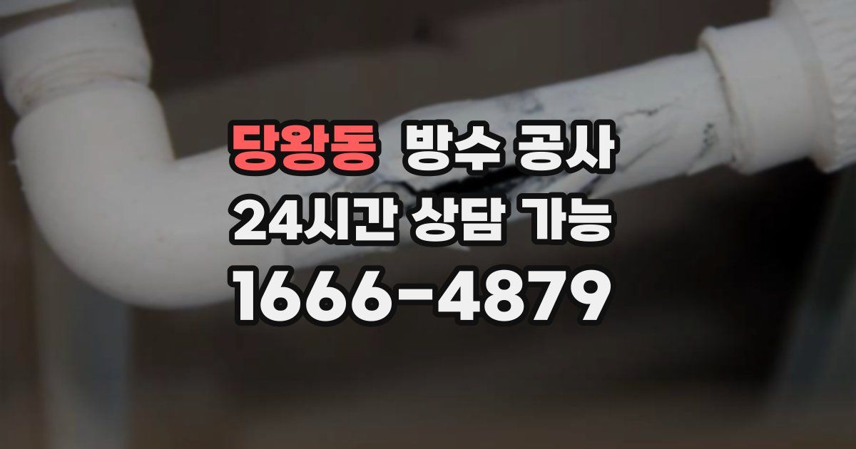 당왕동 누수탐지