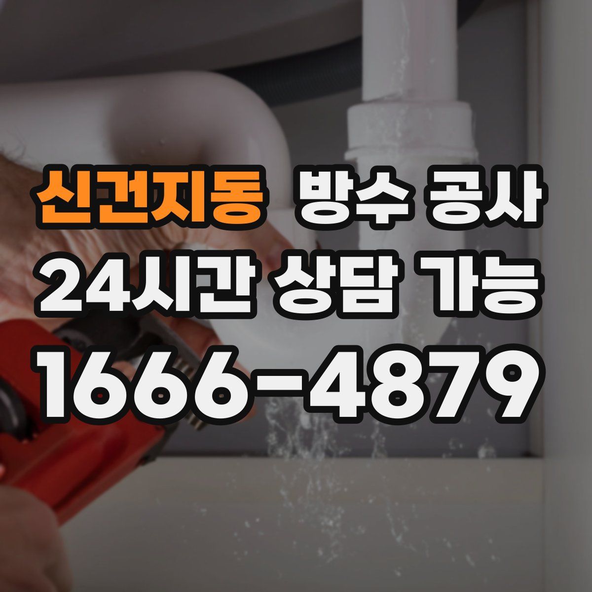 신건지동 방수