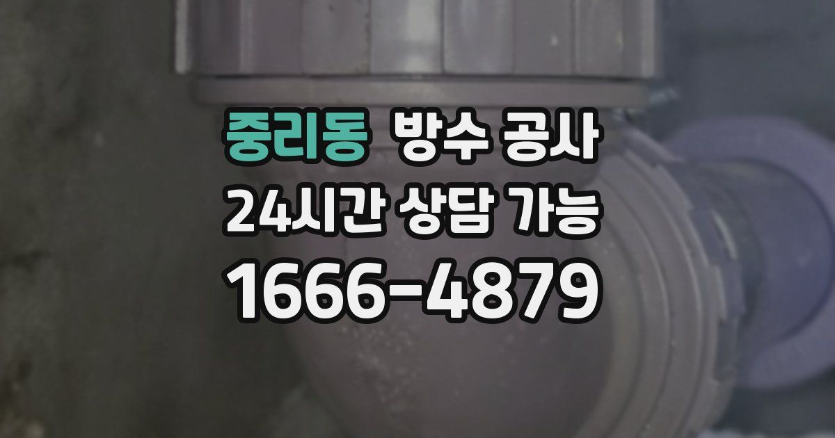 중리동 누수탐지