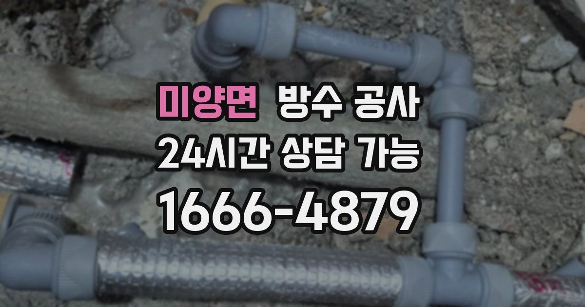 미양면 누수탐지