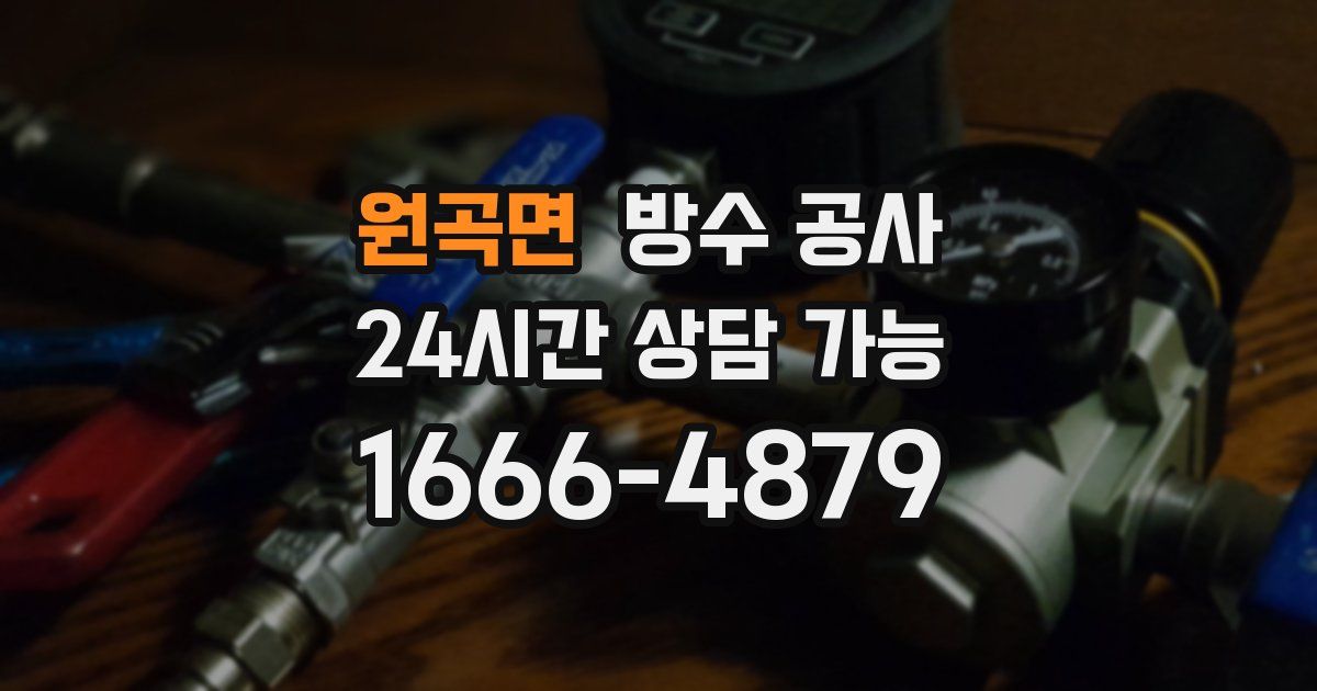 원곡면 누수탐지