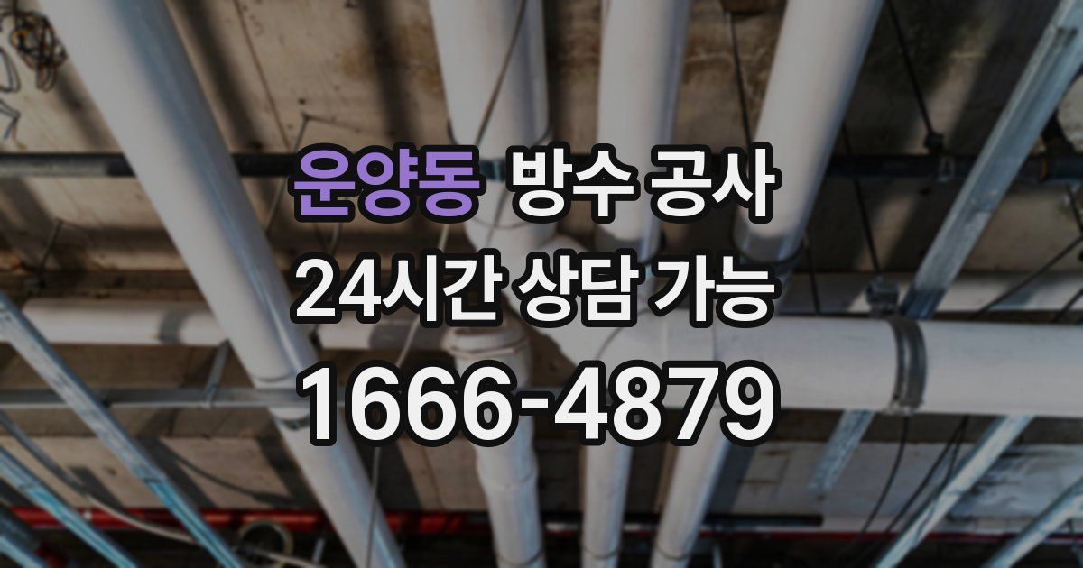 운양동 누수탐지