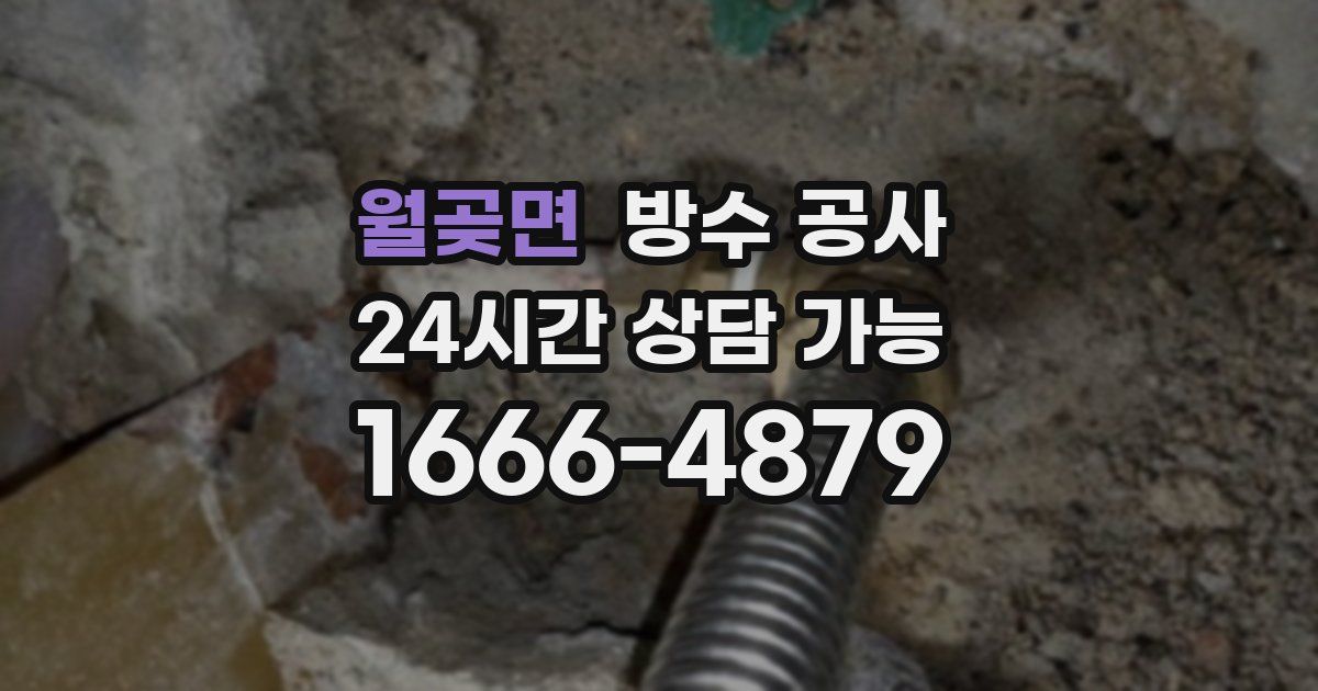 월곶면 누수탐지