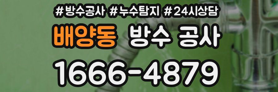 배양동 방수 공사