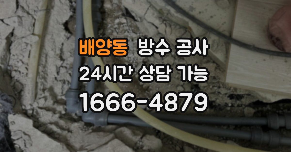 배양동 누수탐지