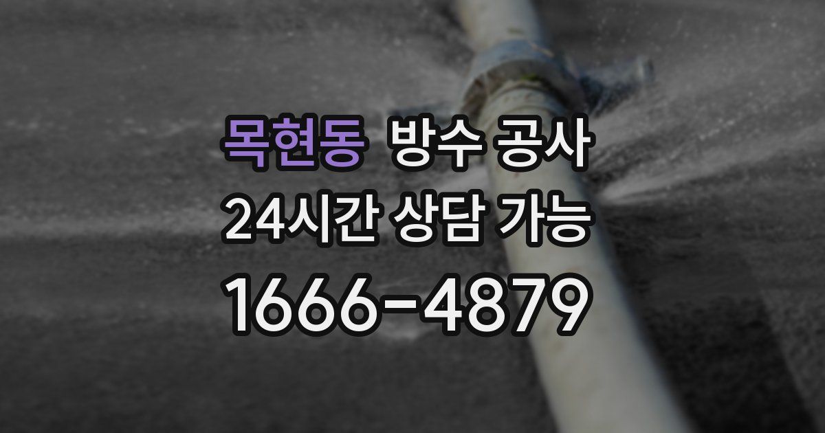 목현동 누수탐지