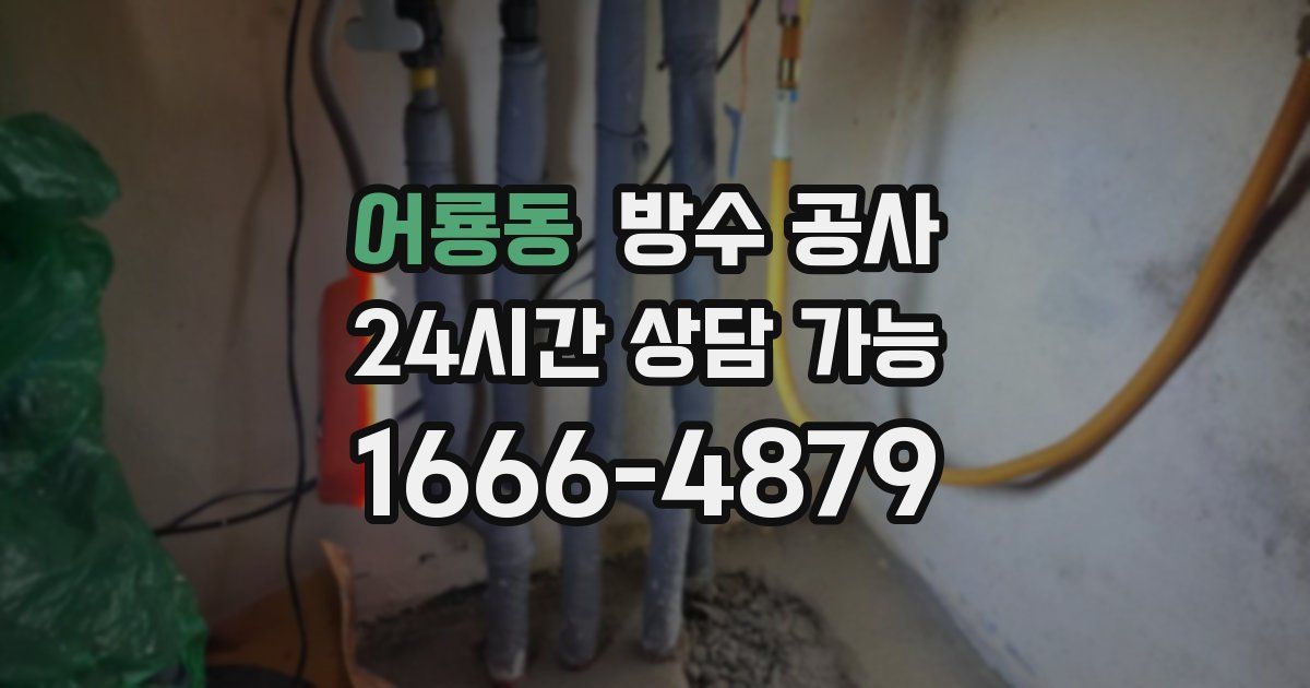 어룡동 누수탐지