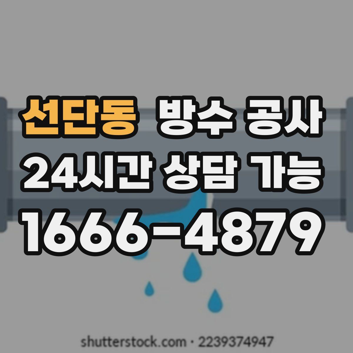 선단동 방수