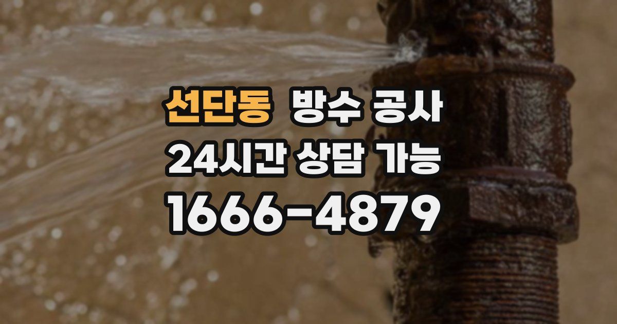 선단동 누수탐지