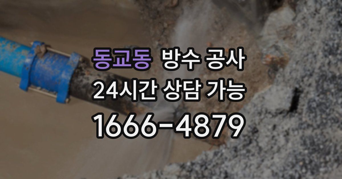 동교동 누수탐지