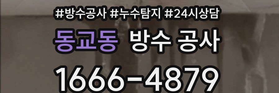 동교동 방수 공사