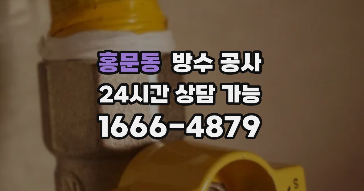 홍문동 누수탐지