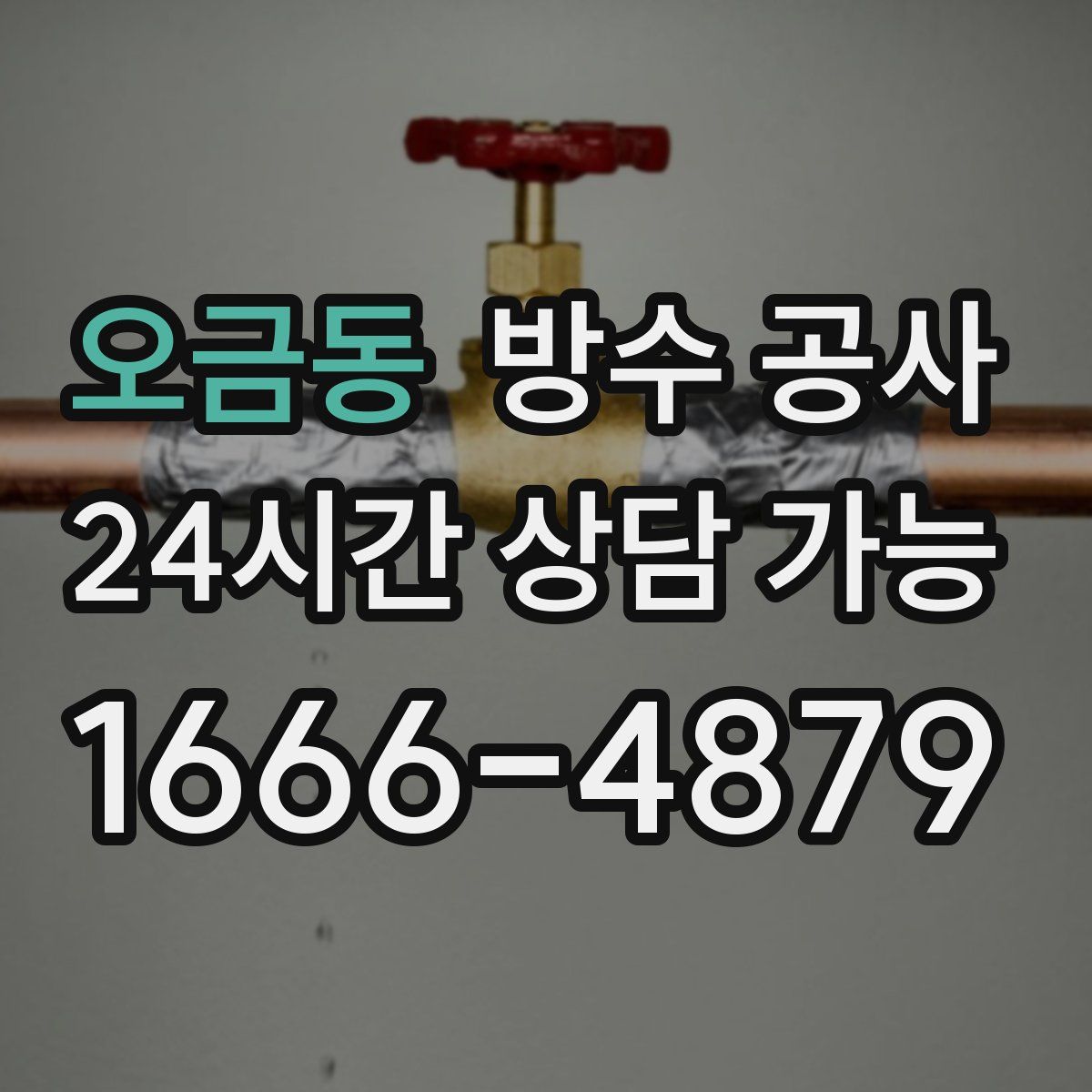 오금동 방수