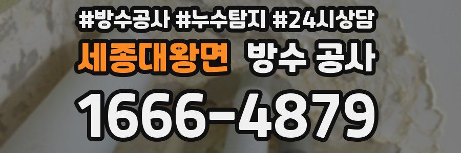 세종대왕면 방수 공사