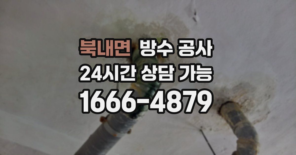 북내면 누수탐지