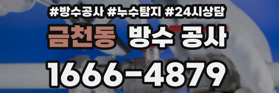 금천동 방수 공사