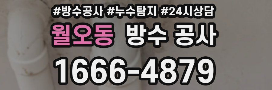 월오동 방수 공사