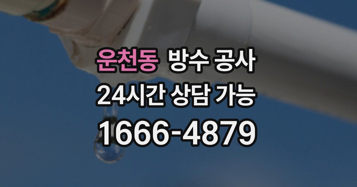 운천동 누수탐지