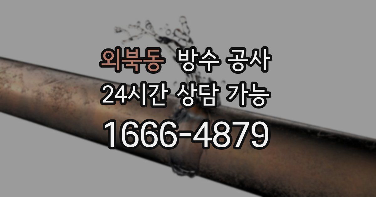 외북동 누수탐지