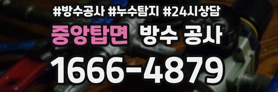 중앙탑면 방수 공사